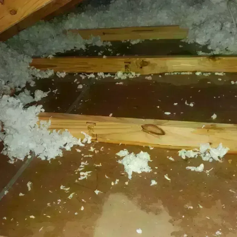 Attic Water Damage in Yoakum, TX